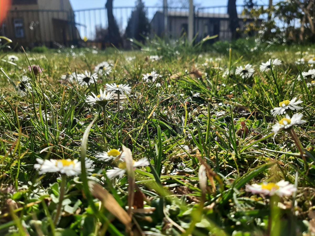 Gartenblick Trebbin Esterno foto