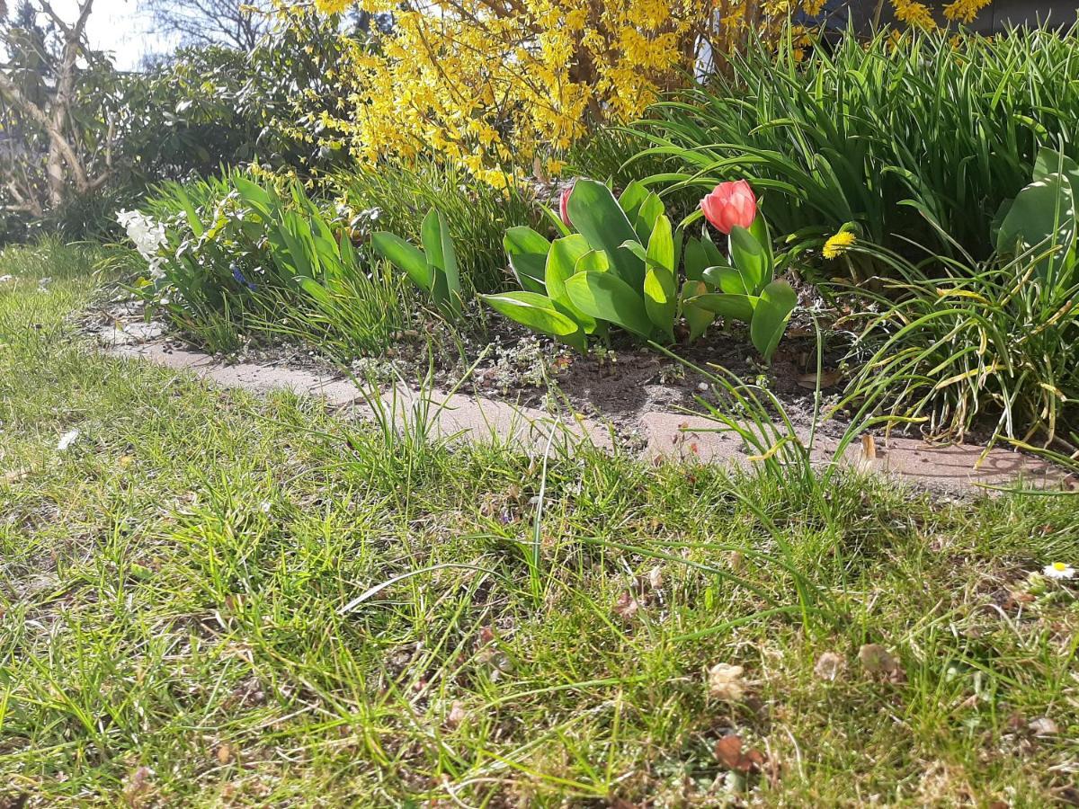 Gartenblick Trebbin Esterno foto